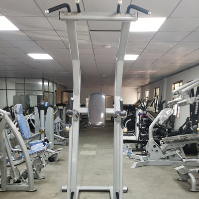 보디빌딩 체력 턱 업바 바디피트 기계 OEM ODM